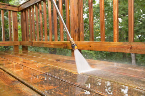 Animal Enclosure Cleaning in Orange City, IA